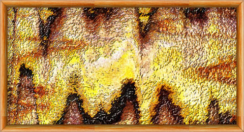 Reflection of a Sunset