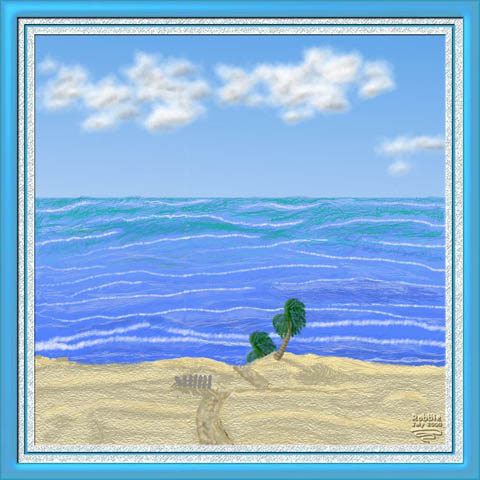 A windy day @ the beach