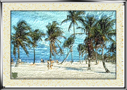 An Afternoon @ the Beach