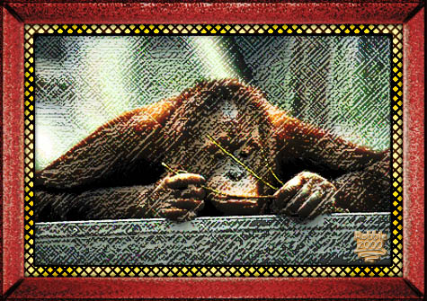 I wonder if this will pick that lock?